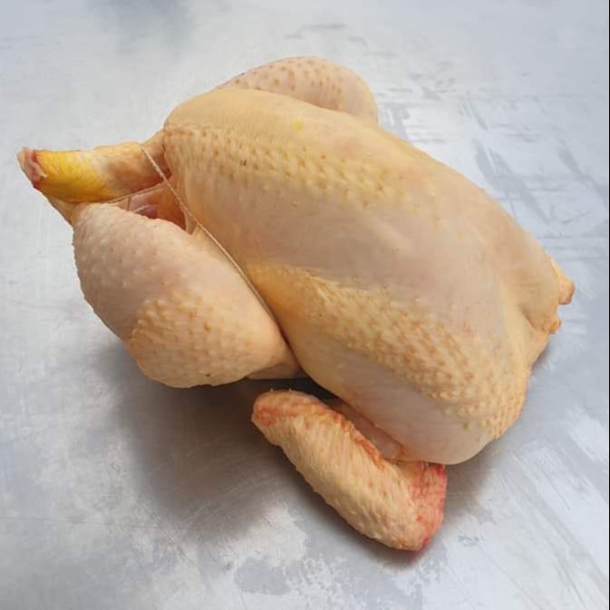 Order fresh cockerel